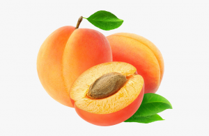 apricot aljazeeratrade