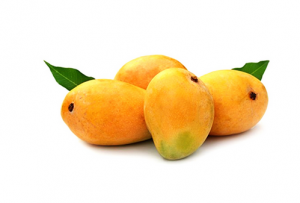 mango aljazeeratrade