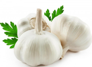 garlic